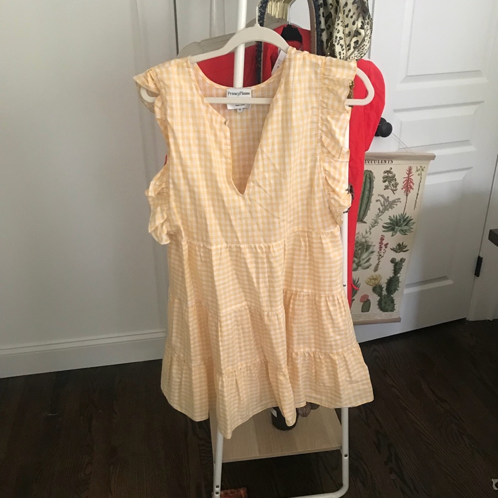Privacy please gingham dress